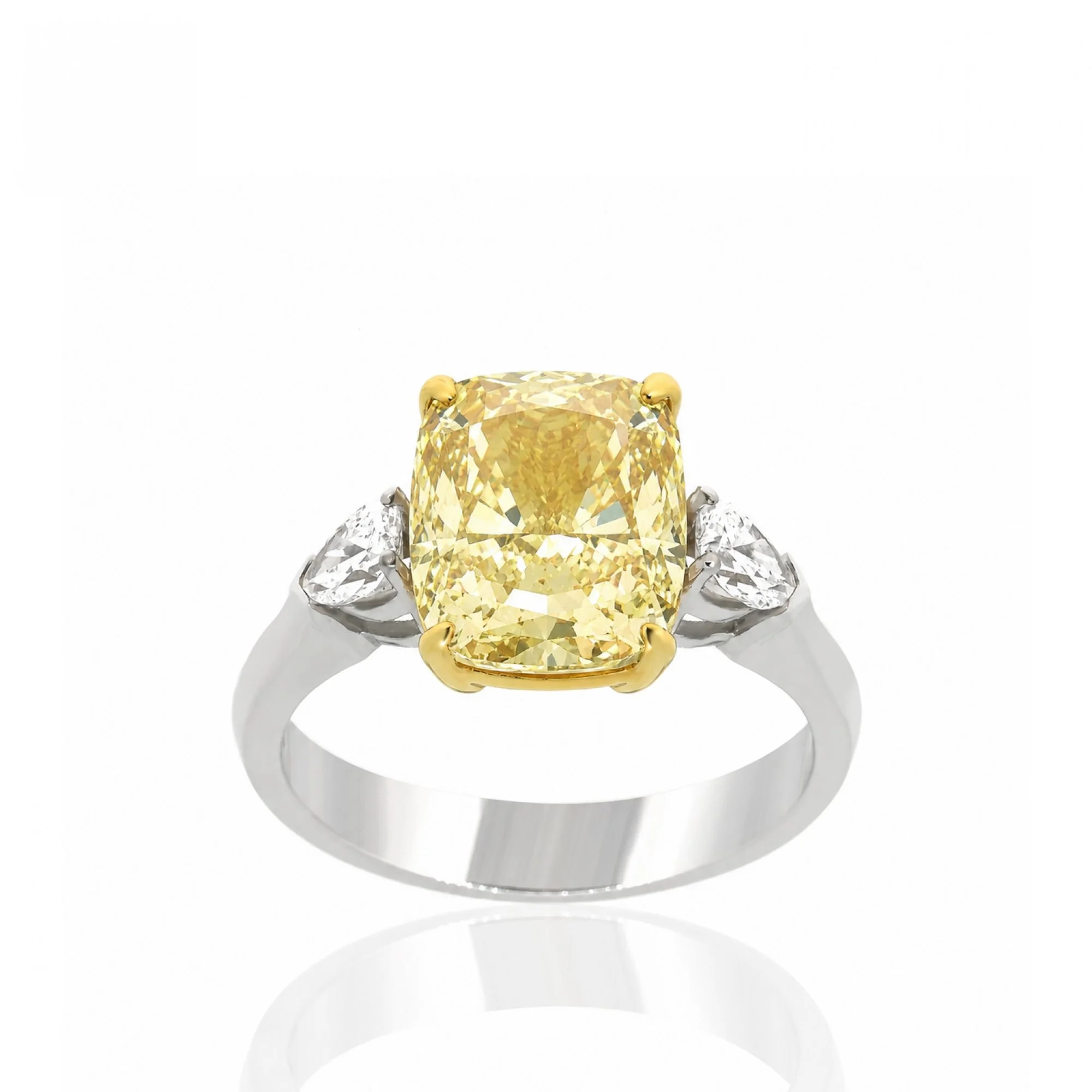 Fancy Ring 3,01 ct