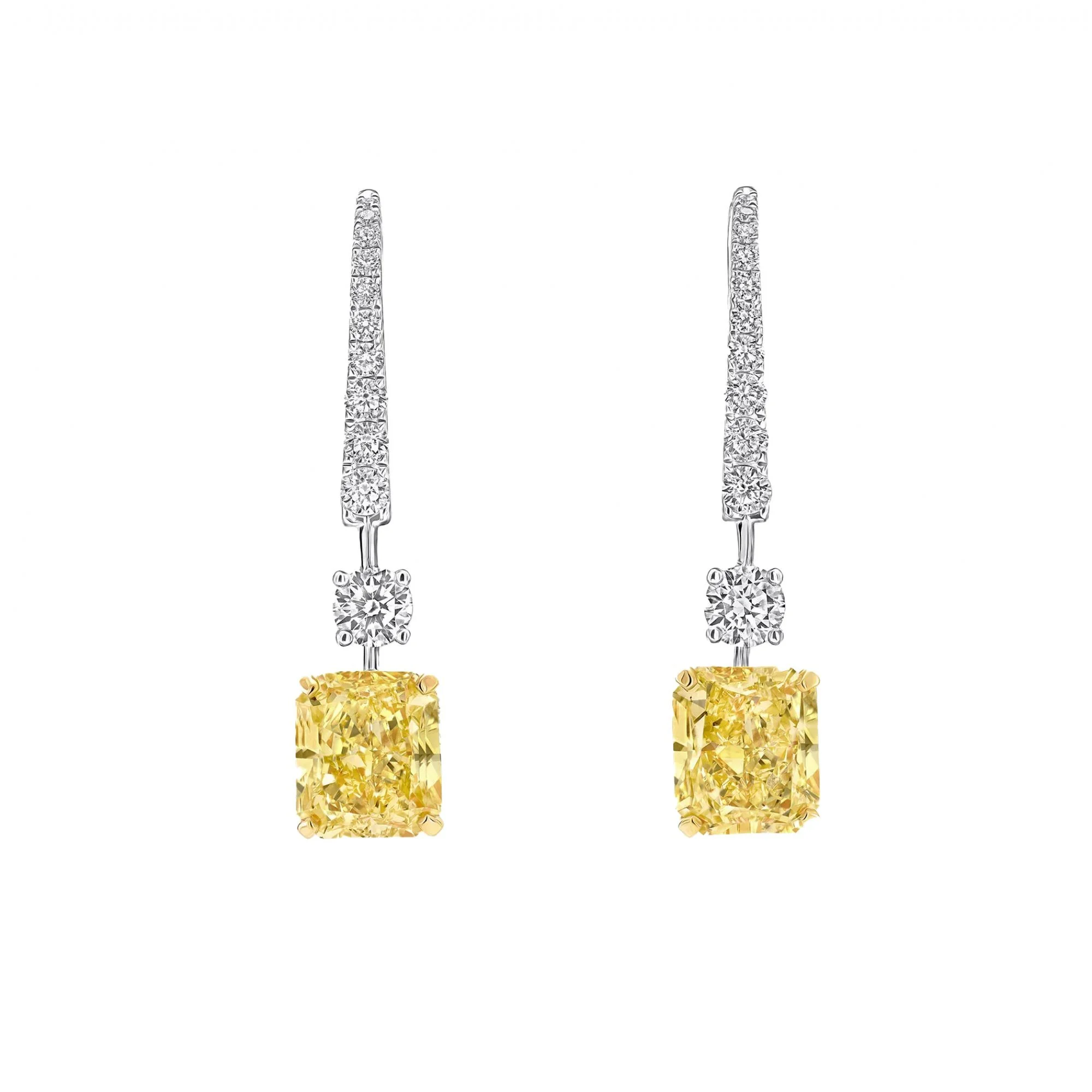 Fancy Earring 4,01 ct