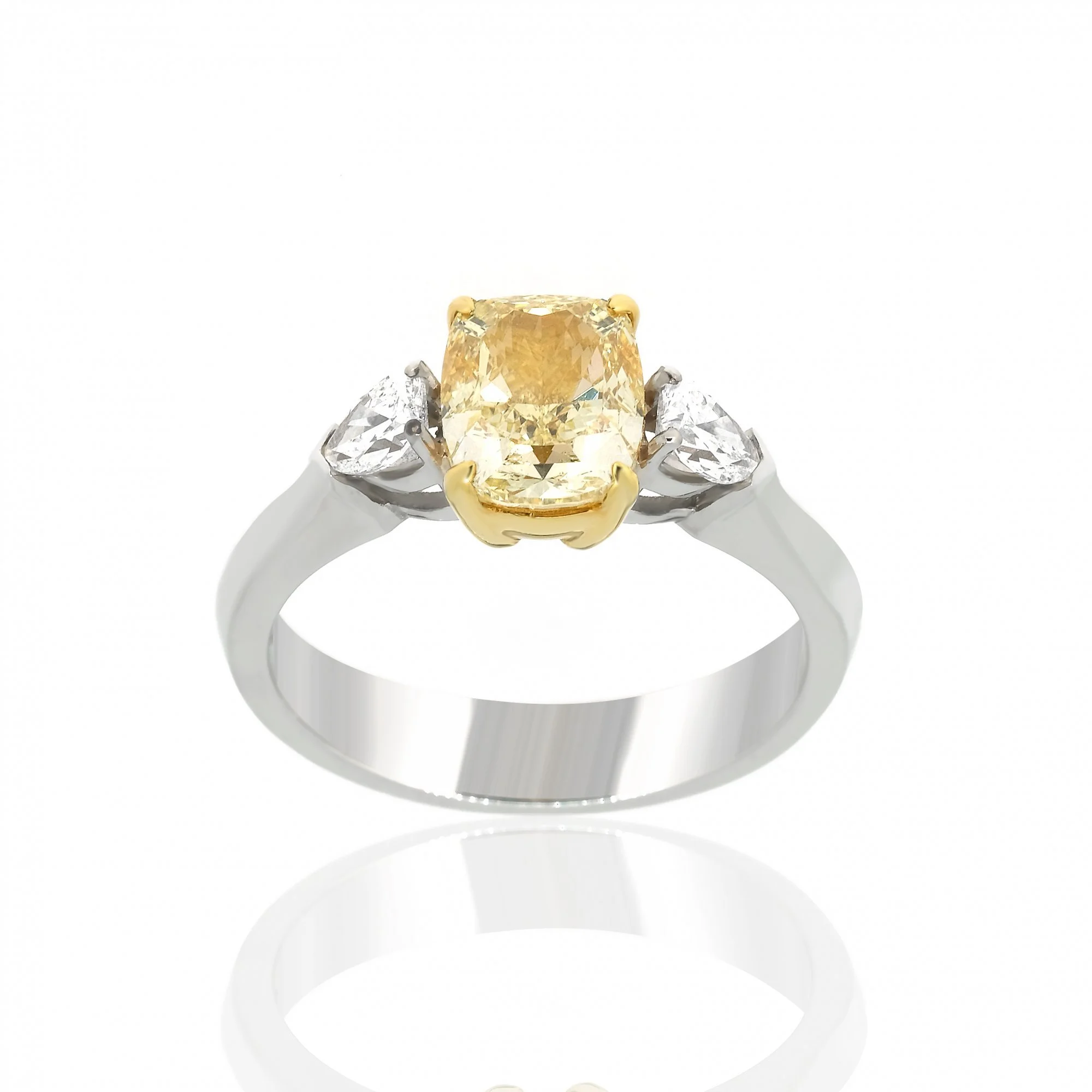 Fancy Ring 3,01 ct